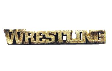 Pin en Wrestling Gold