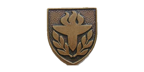 Torch (International) Lapel Pin, Multiple Finishes