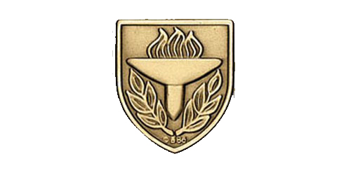 Torch (Standard) Lapel Pin, Multiple Finishes