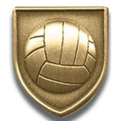 Volleyball Lapel Pin, Gold Only