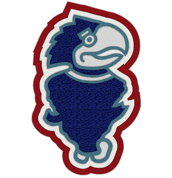 Mascot Patches